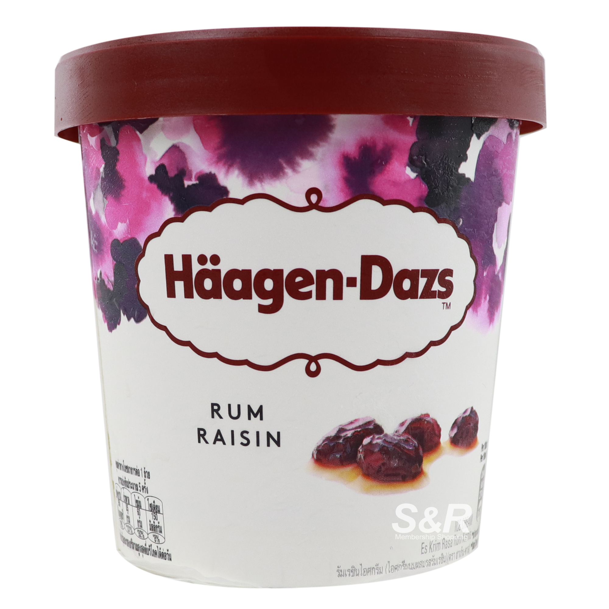 Haagen-Dazs Ice Cream Rum Raisin Flavor 473mL